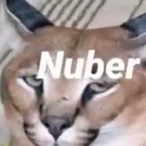 Meet your Posher, Jesus